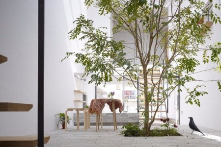 Ngôi nhà ống 54m2 thiết kế ấn tượng với vườn cây giữa nhà