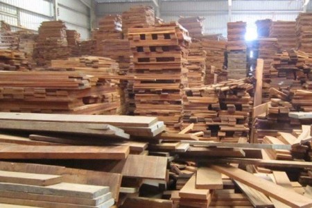 Gỗ Thuận An (GTA): 9 tháng hoàn thành 93% kế hoạch lợi nhuận, dự kiến tiêu thụ 113.400m3 gỗ trong quý 4