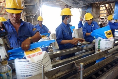 Phân bón Bình Điền (BFC): 9 tháng lãi sau thuế 255 tỷ đồng, tạm ứng 20% cổ tức bằng tiền Phân bón Bình Điền (BFC): 9 tháng lãi sau thuế 255 tỷ đồng, tạm ứng 20% cổ tức bằng tiền