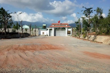 Quảng Bình: Chưa có giấy phép thuê đất, trại bò gần 10ha vẫn ngang nhiên xây dựng