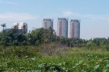 TP Hồ Chí Minh: Nhức nhối vì những dự án “treo”