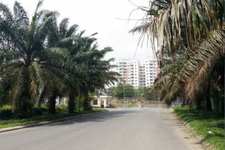 KDC Làng Việt Kiều Phong Phú 13E