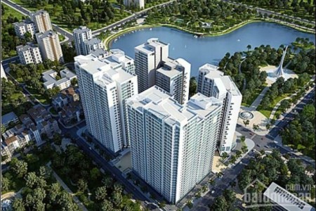 Mandarin Garden