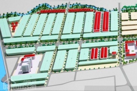 Sao Mai Bình Khánh 5