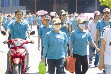 Nhà siêu rẻ dưới góc nhìn của người trong cuộc