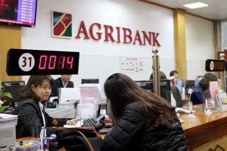 Bán đấu giá thoái vốn cổ phần của Agribank tại Ngân hàng TMCP Phương Đông (OCB).