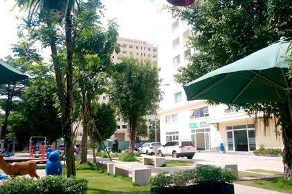 Chung cư vẫn mọc dày đặc trên một số con hẻm