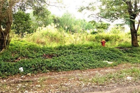 Để lấy được đất dự án, khách hàng phải trả thêm tiền cho chủ đầu tư