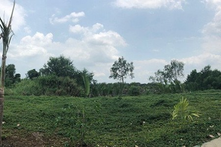 Quốc Cường Gia Lai sẵn sàng trả đất nếu Ban Thường vụ Thành Ủy yêu cầu hủy hợp đồng