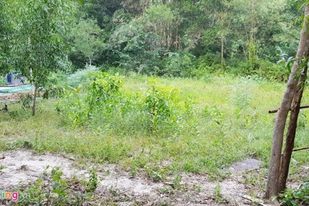 Phú Quốc: dừng việc chuyển đổi mục đích sử dụng đất phân lô để giảm "nhiệt" thị trường đất
