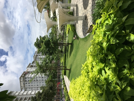 Đi đến slide 6