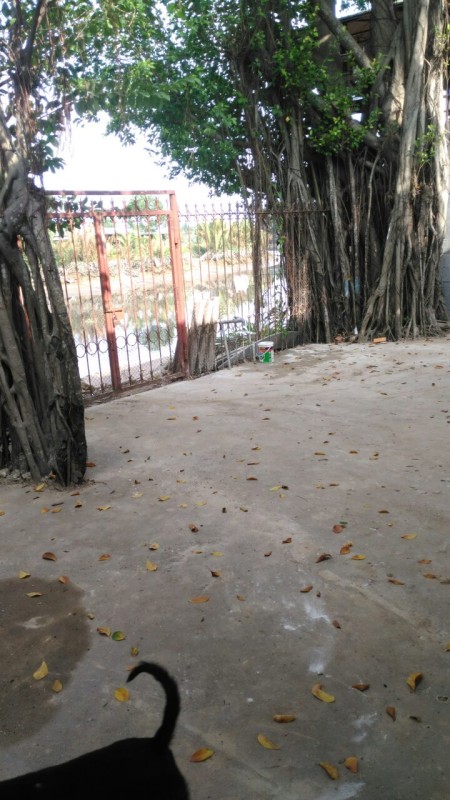 Đi đến slide 4