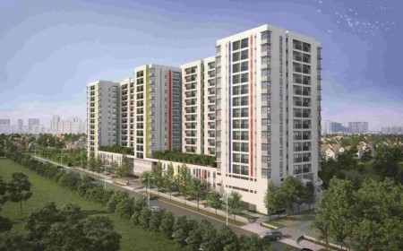 Hausviva
