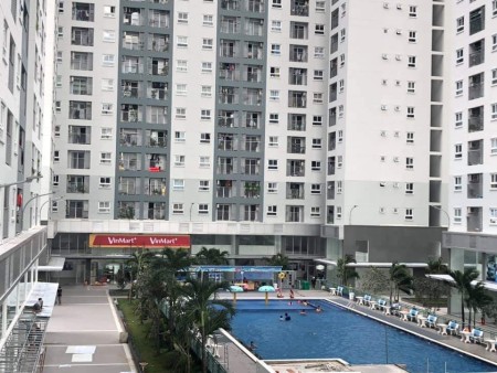Cho thuê Shophouse 13TR chung cư Prosper Plaza Quận 2, thiết kế 1 trệt 1 lầu.