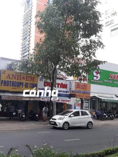 Nhà thuê nguyên căn đường Nguyễn Đình Chiểu, phường 6 Quận 3. DT : 5X25M, hầm 4 lầu _ có nhà