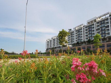 Đi đến slide 4