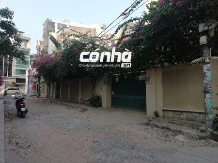 Cho thuê nhà nguyên căn đường D2, Bình Thạnh, 24x20m _ CÓ NHÀ