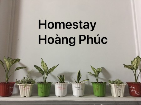 Đi đến slide 8
