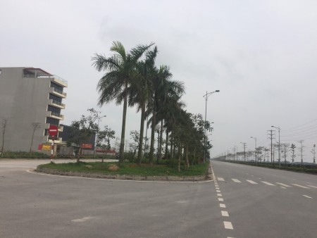 BÁN ĐẤT TẠI KHU A GIAI ĐOẠN 1 DỰ ÁN V-GREENCITY PHỐ NỐI HƯNG YÊN