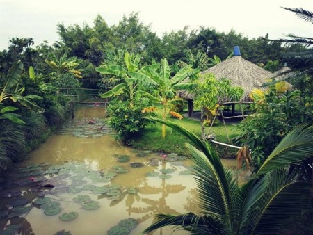 Đi đến slide 3