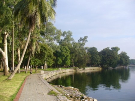 Đi đến slide 11