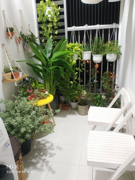 Đi đến slide 3