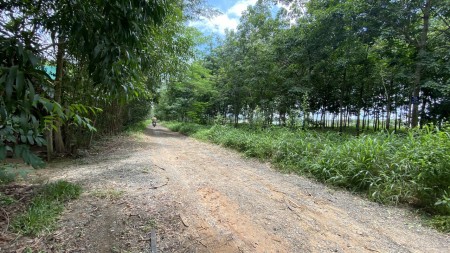 chính chủ bán đất long thành 1000m2 chỉ có 1tỷ sổ đẹp đường nhựa 7m