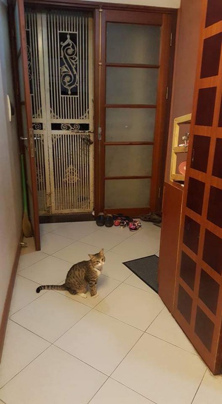 Cho thuê nhà tập thể tầng 5 rộng rãi, thoáng mát Quận Hai Bà Trưng