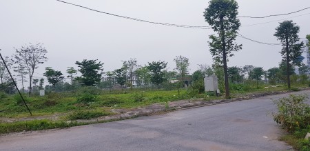 240m2 đất biệt thự b1.1 a2.5 bt2 thanh hà cienco 5 đường 17m đầu tư dự án