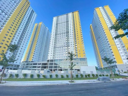 Cho thuê căn hộ mới 100%, Diamond Riverside, thoáng mát, sàn gỗ, nhà trống giao ngay