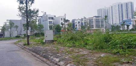Biệt thự b2.4 hướng tây Newton trường bt4-21, 25 thanh hà cienco 5 giá rẻ bán nhanh cho đầu tư