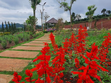 Nam Ban Villas Lâm Đồng - đất nền biệt thự liền kề Đà Lạt