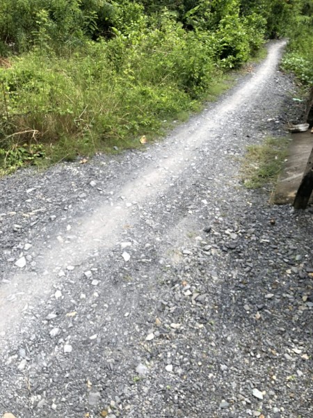 Đi đến slide 10