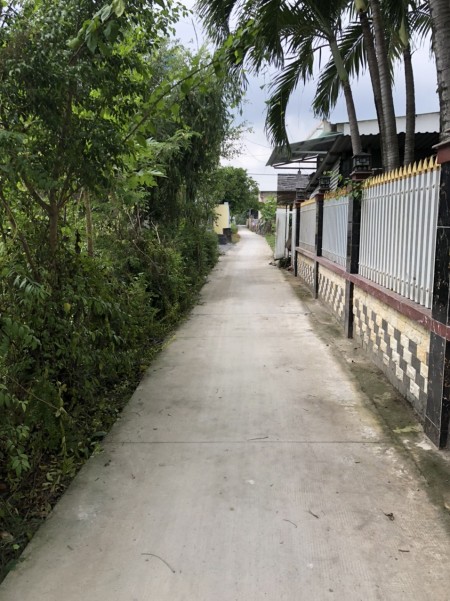 Đi đến slide 11
