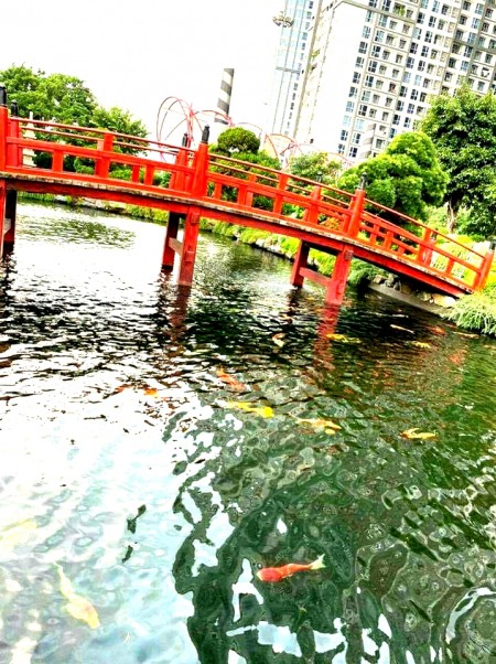 Đi đến slide 5