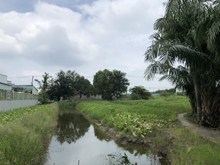 Đi đến slide 8