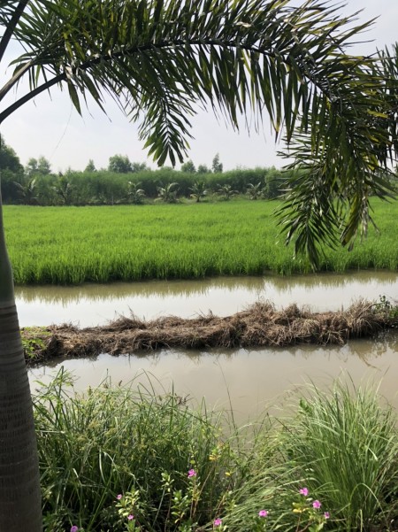 Đi đến slide 8