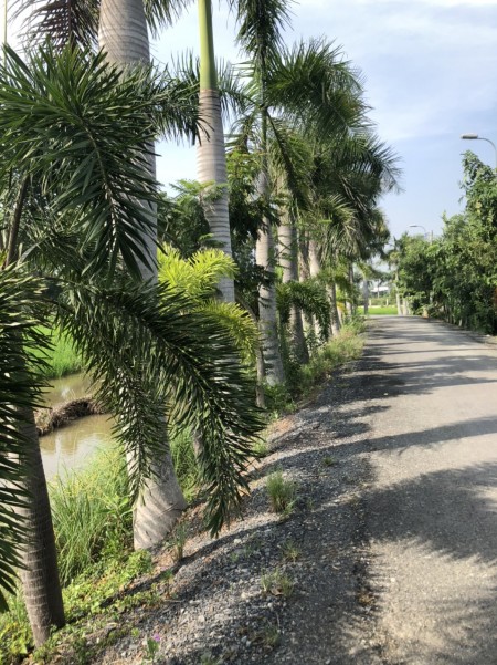 Đi đến slide 9