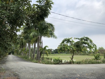 Đi đến slide 11