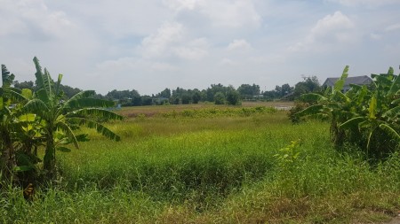 Đi đến slide 10