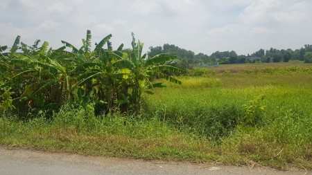 Đi đến slide 11