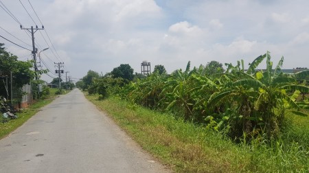 Đi đến slide 12