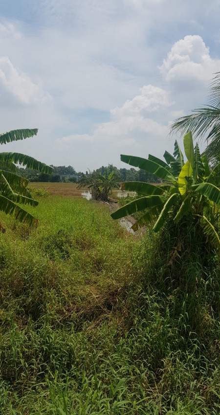 Đi đến slide 14