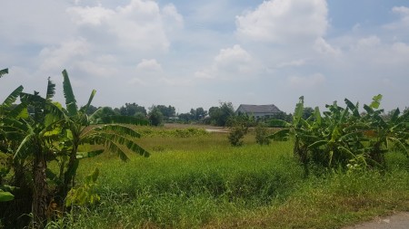 Đi đến slide 15