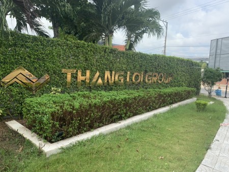 thinguyen