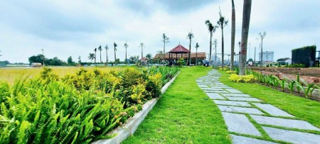 Đất nền giá rẻ Khu vực Bình Chánh, view đẹp, SHR sang tên ngay