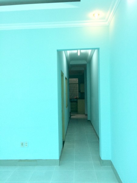 Cho thuê nhà nguyên căn 1 trệt 1 lầu đúc 3PN, DT4.1x19m hẻm 5m Đường Lê Cảnh Tuân, Phú Tho Hòa, Quận Tân Phú, Giá 10 triệu/tháng