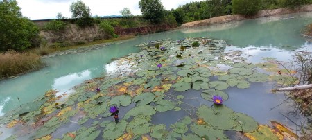 Đi đến slide 4