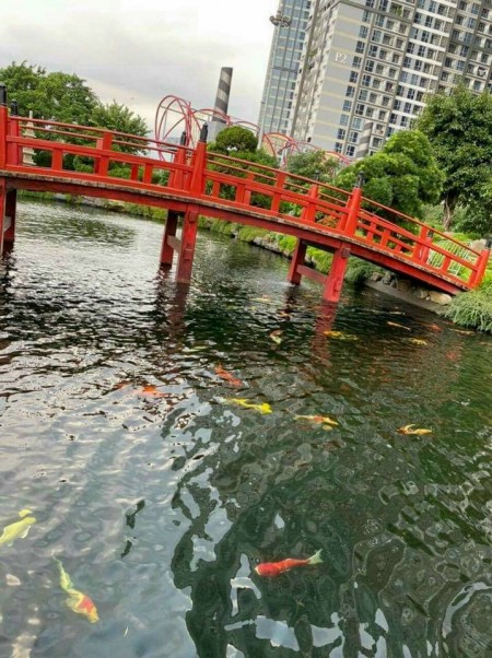 Đi đến slide 4