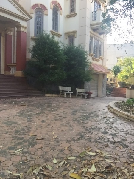 Cho thuê biệt thự sân vườn Đỗ Xuân Hợp Q9